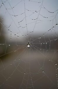 IMG-20260827-WA0007